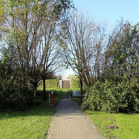 Ostseekieker Вустров Экстерьер фото