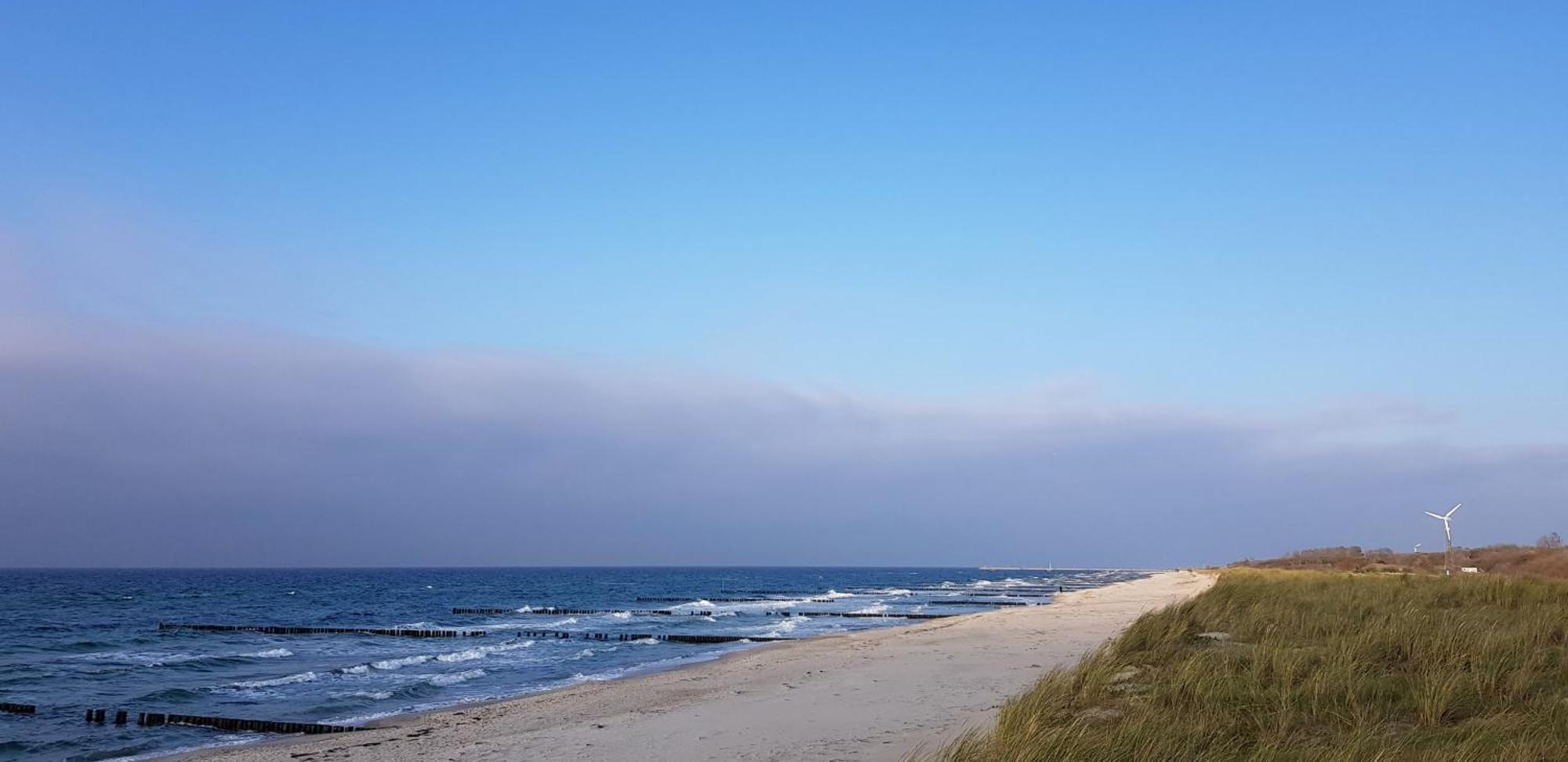 Ostseekieker Вустров Экстерьер фото