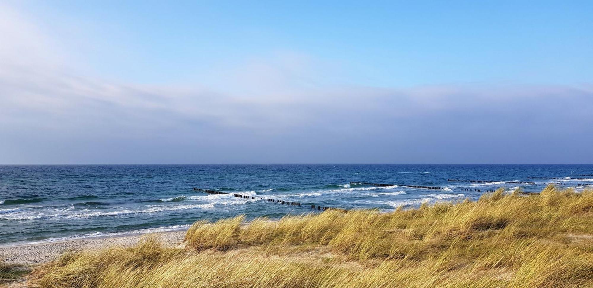 Ostseekieker Вустров Экстерьер фото